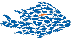 blue2-orange-fish