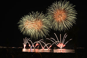 fireworks-535198_1920-300